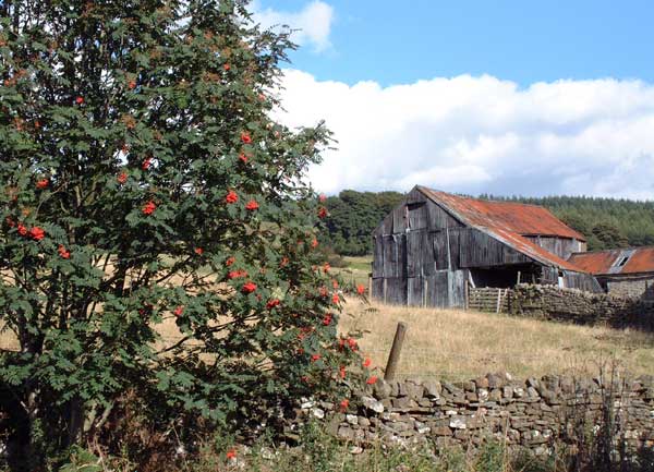 Eggleston Barn