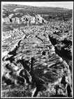 Limestone Pavement