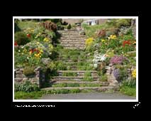 Flowered Steps, Muker (North Yorkshire)