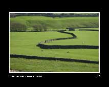 Field Patterns, Gunnerside (North Yorkshire)